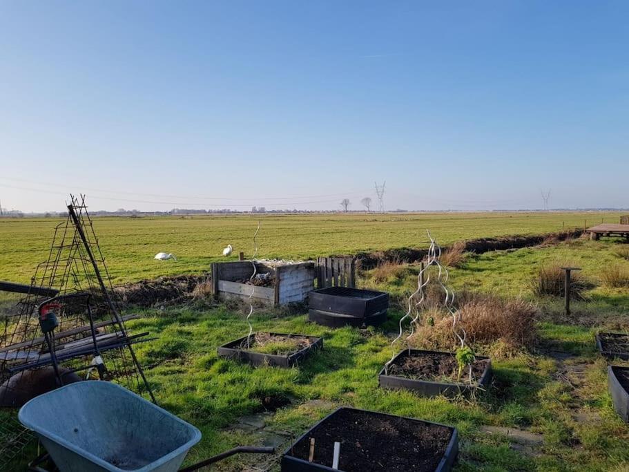 Out Of Amsterdam, River Apartment Close to City Broek in Waterland Buitenkant foto