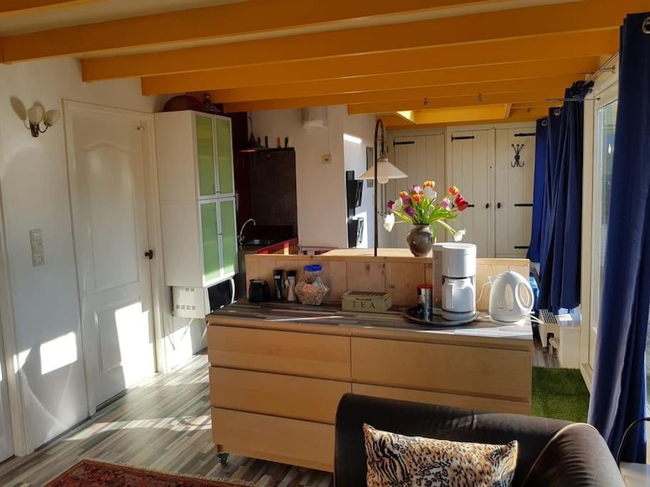 Out Of Amsterdam, River Apartment Close to City Broek in Waterland Buitenkant foto