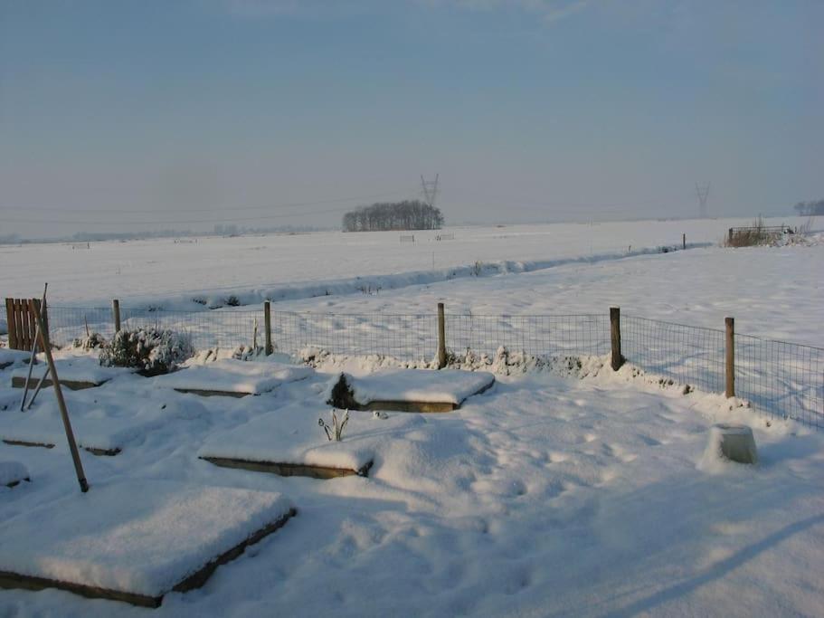 Out Of Amsterdam, River Apartment Close to City Broek in Waterland Buitenkant foto